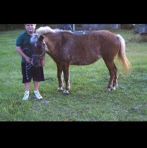 Meet your Posher, Brian